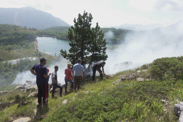 Helping fiting forest fire