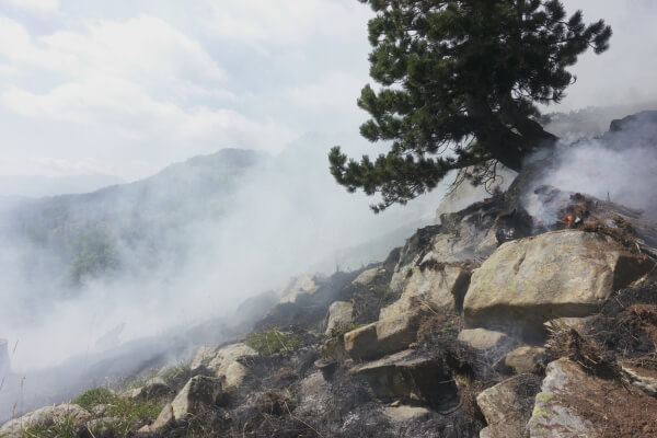 Forest fire in Lurë